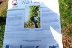 Hildegard-von-Bingen-Pilgerwanderweg